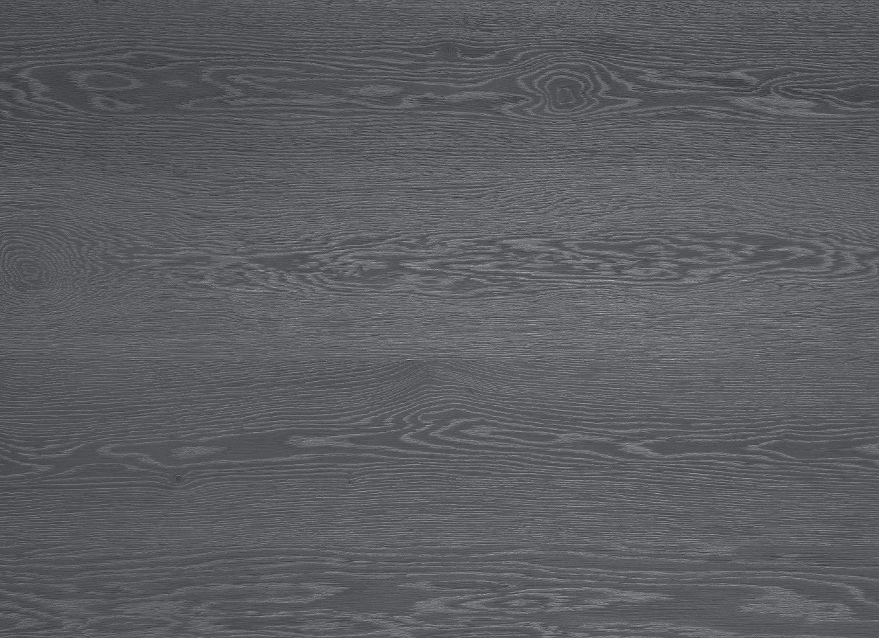 グレース・ヴィヴィッド